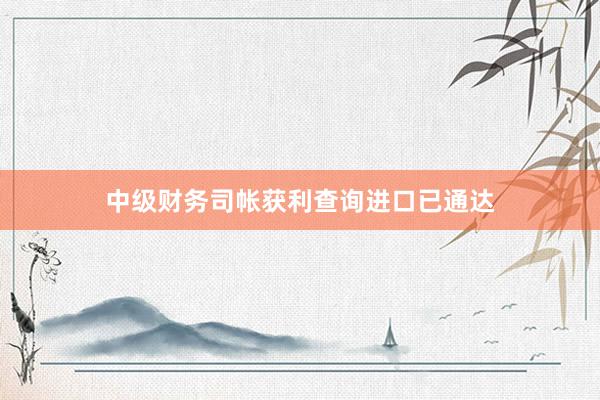 中级财务司帐获利查询进口已通达