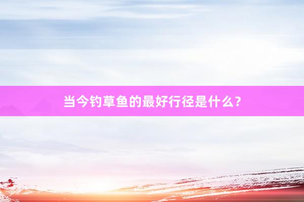 当今钓草鱼的最好行径是什么？